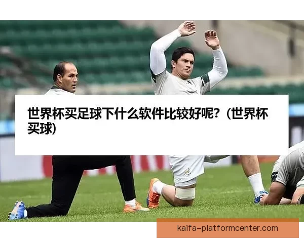 世界杯买球官网全方位解析与推荐助力球迷轻松下注体验